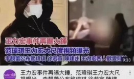 李靓蕾爆料王力宏事件视频,真相与争议交织