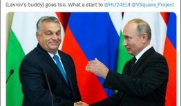 欧盟官员爆料新闻最新报道,最新报道揭示重大政治内幕